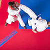 tatami-progame