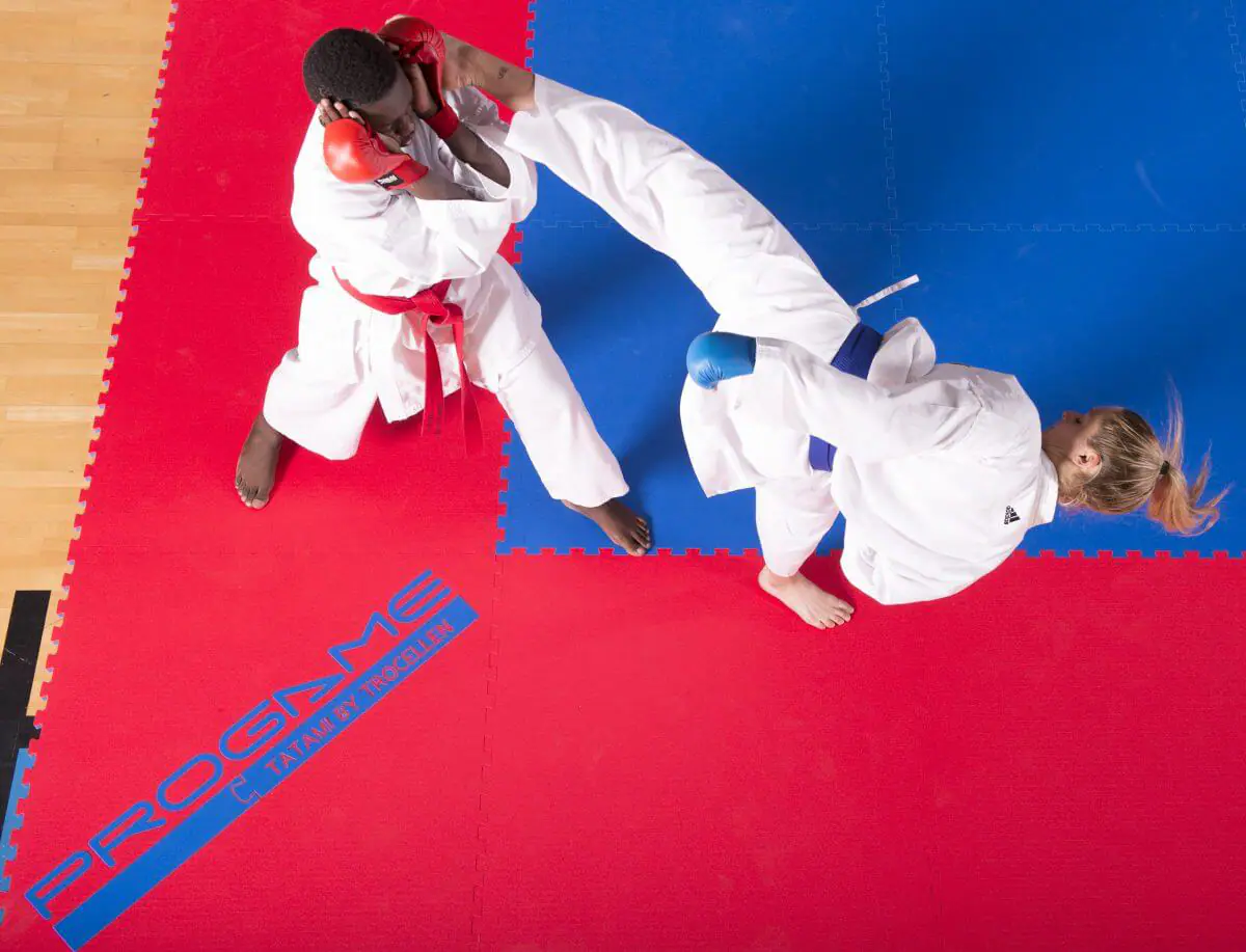 tatami-progame
