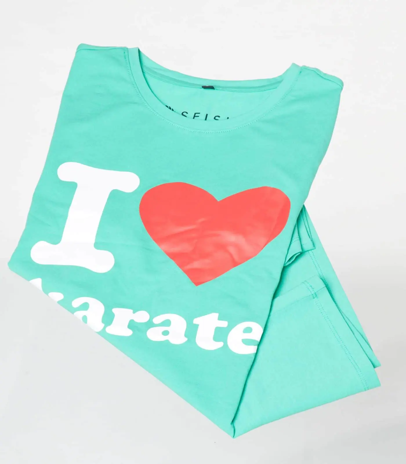 tee-shirt-de-karate-bleu-seishin-international
